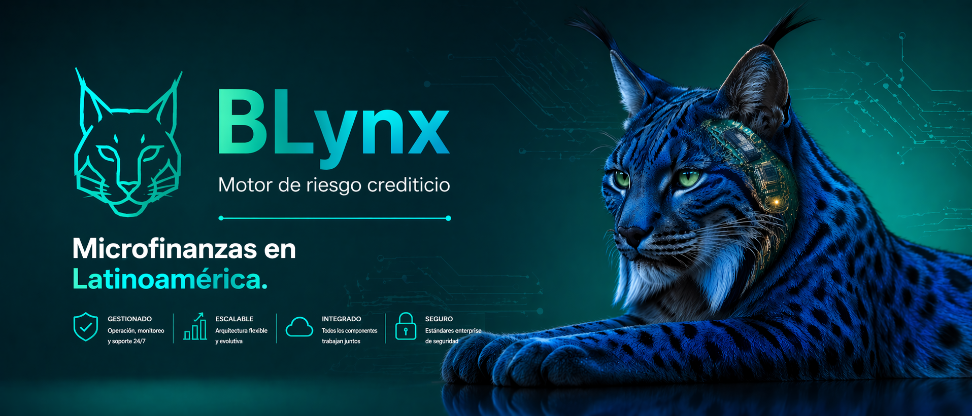 BLynx Rating Engine — BJungle